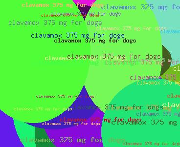 Clavamox 375 Mg For Dogs