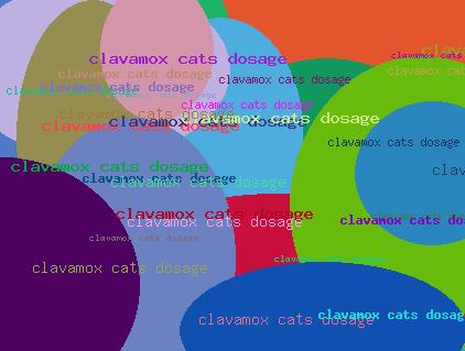 Clavamox cats dosage
