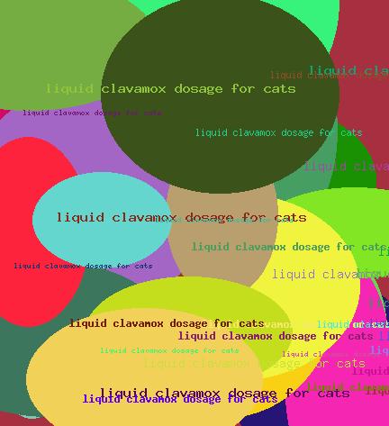 liquid clavamox dosage for cats